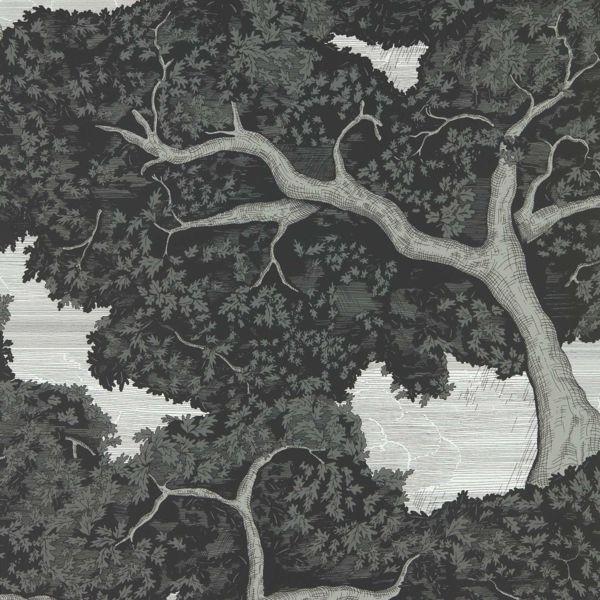 Charcoal