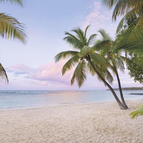 Paradise Morning Mural