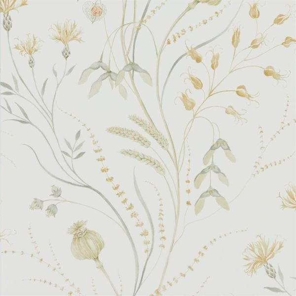 Ochre