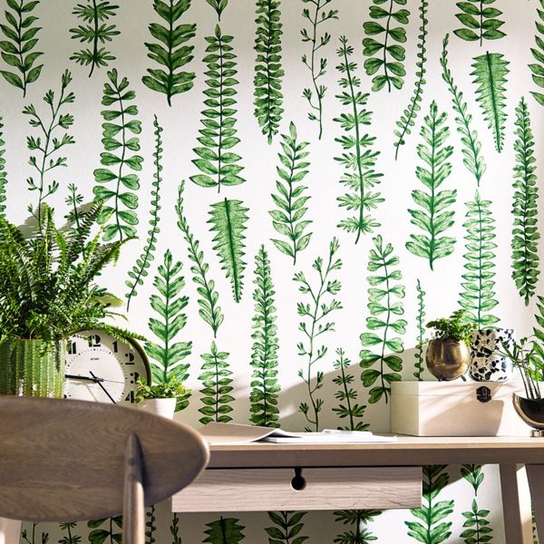 Ferns