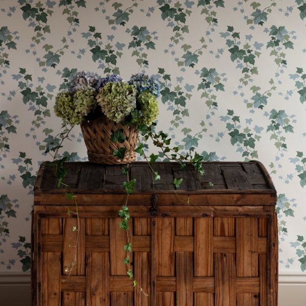 Ivy