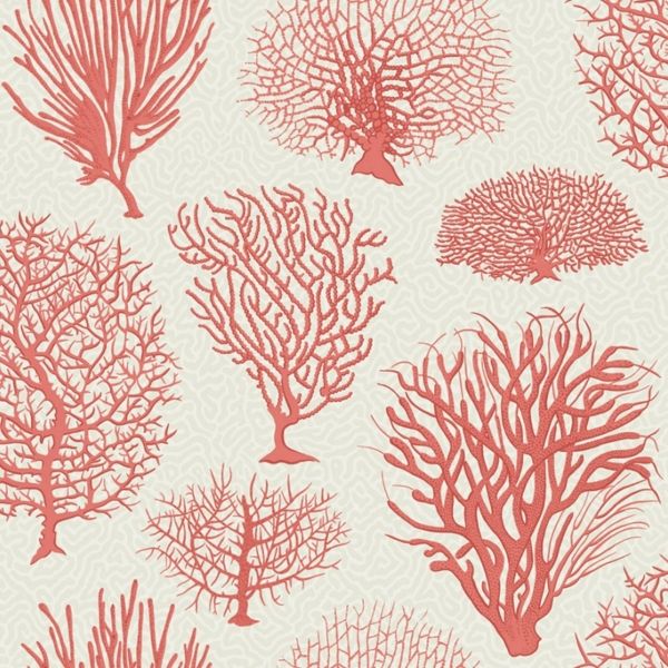 Coral