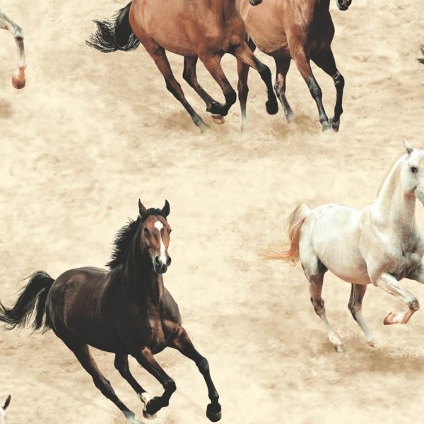 Wild Horses