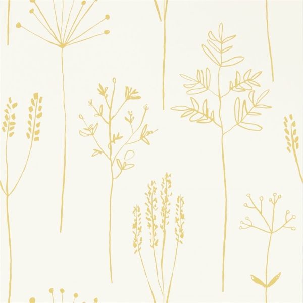 Mustard